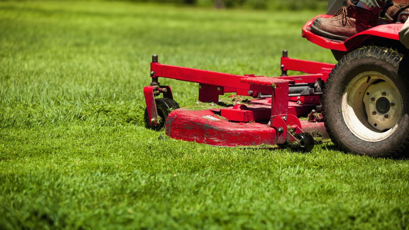 Garden Renovation Services Scottsdale AZ