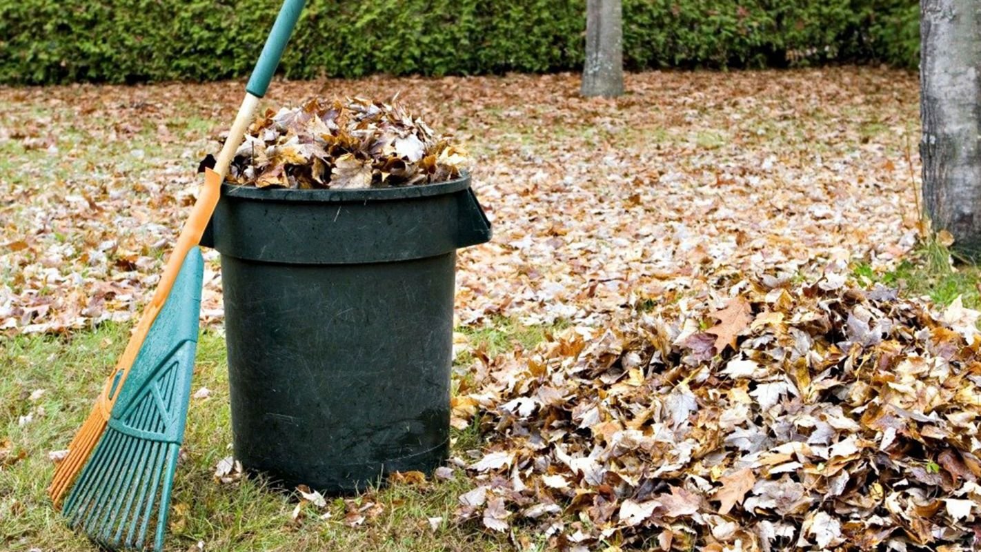 Yard Cleaning Services Surprise AZ