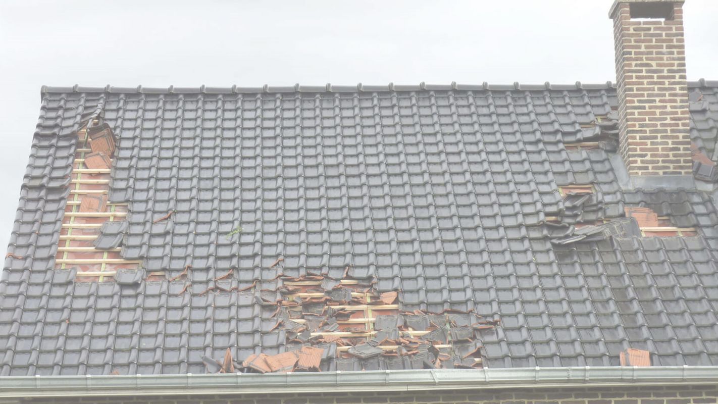 #1 Storm Damage Roof Inspection Services Frisco, TX