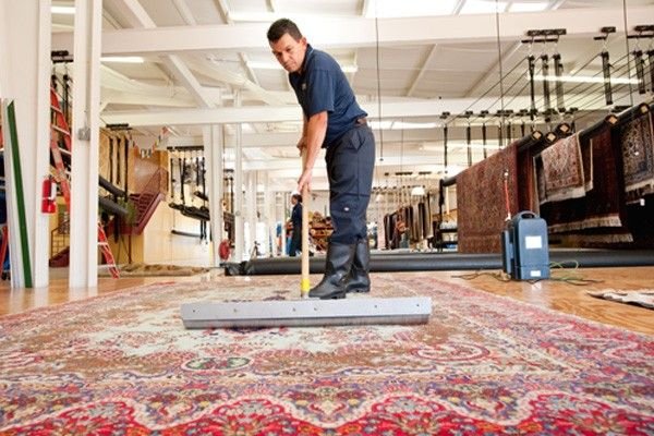 Rug Cleaning Services