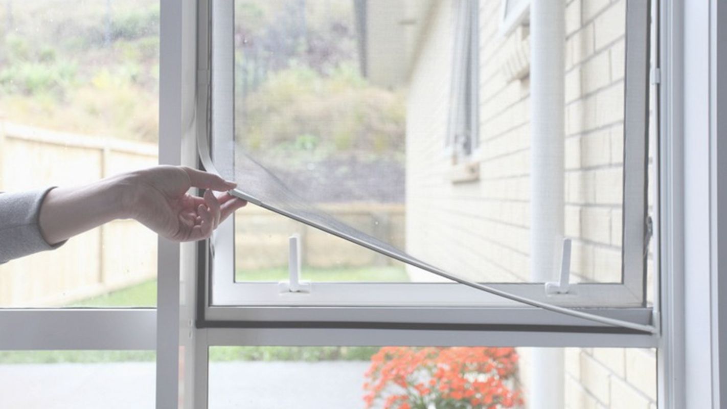 Hire Window Screens Cleaning Services for Home Garden City, CO