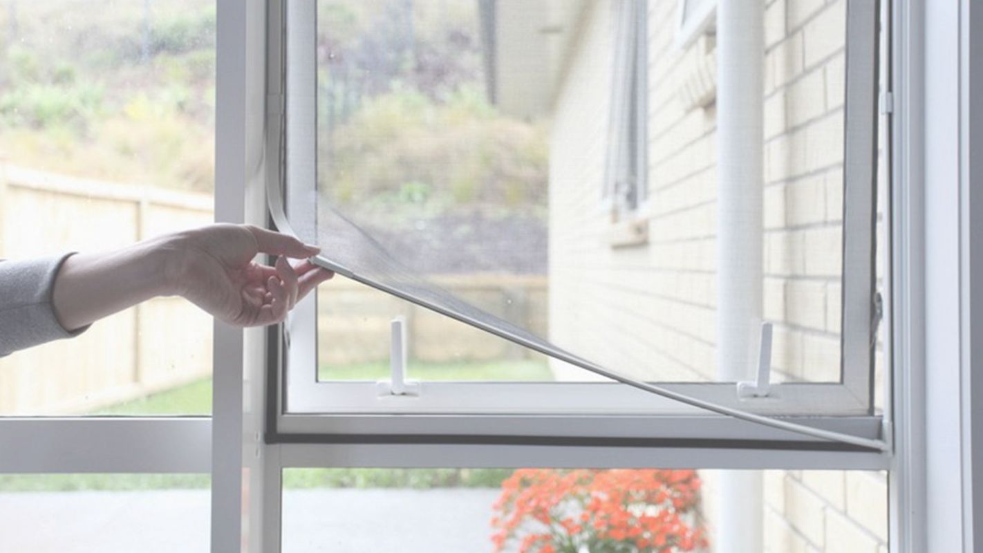 Hire Window Screens Cleaning Services for Home Fort Collins, CO