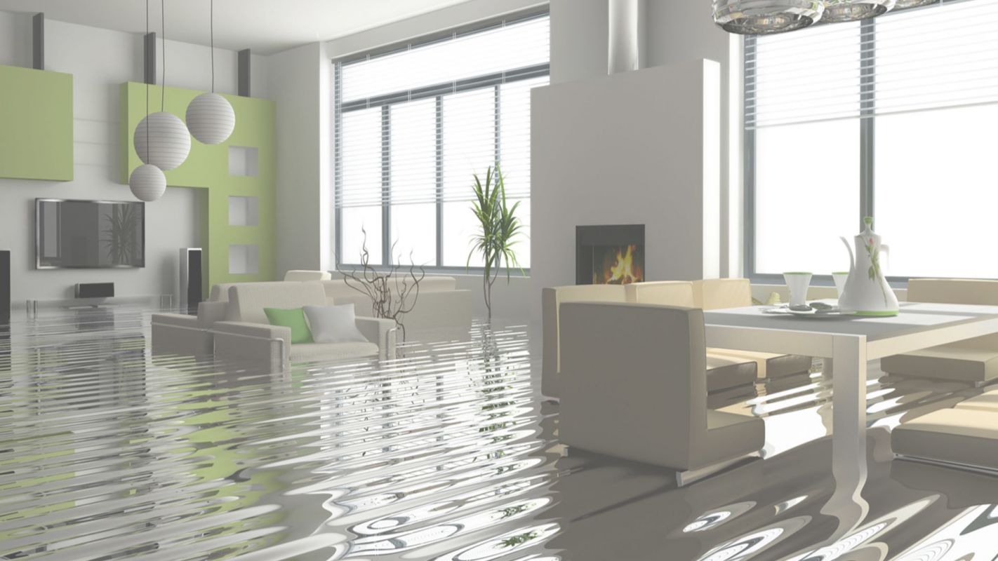 Your Go-to Water Extraction Company