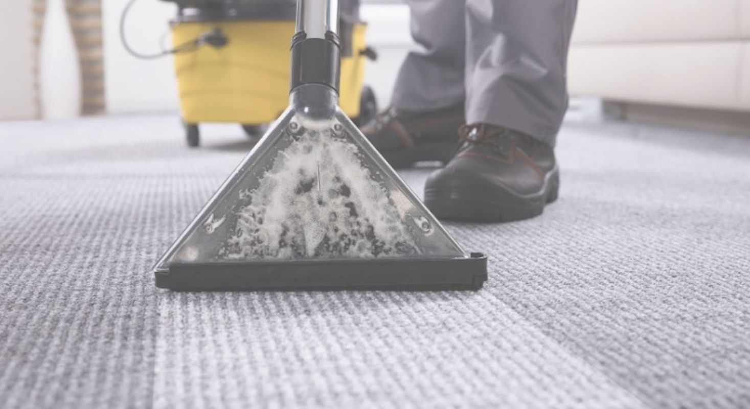 Reasonably Priced Carpet Cleaning Service in Phoenix, AZ