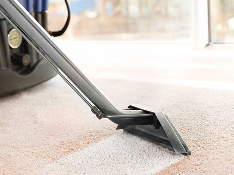 Local Carpet Cleaning Houston TX