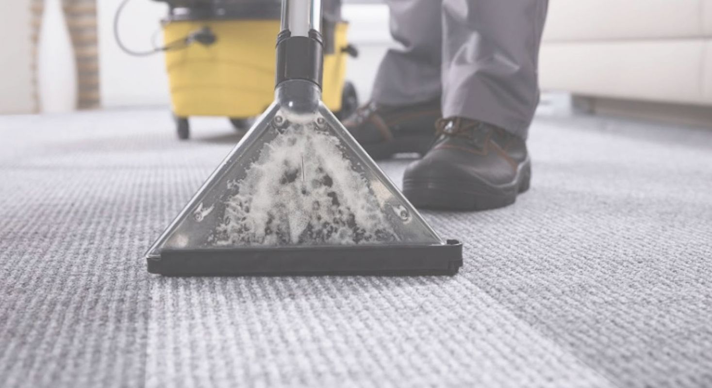 Reasonably Priced Carpet Cleaning Service in Goodyear, AZ