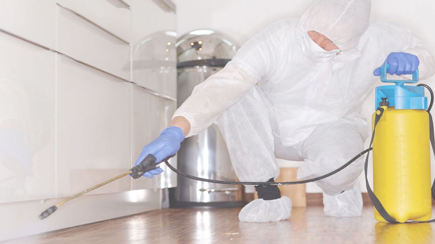 A Must-Have Covid-19 Disinfecting Services for Home Santa Monica, CA