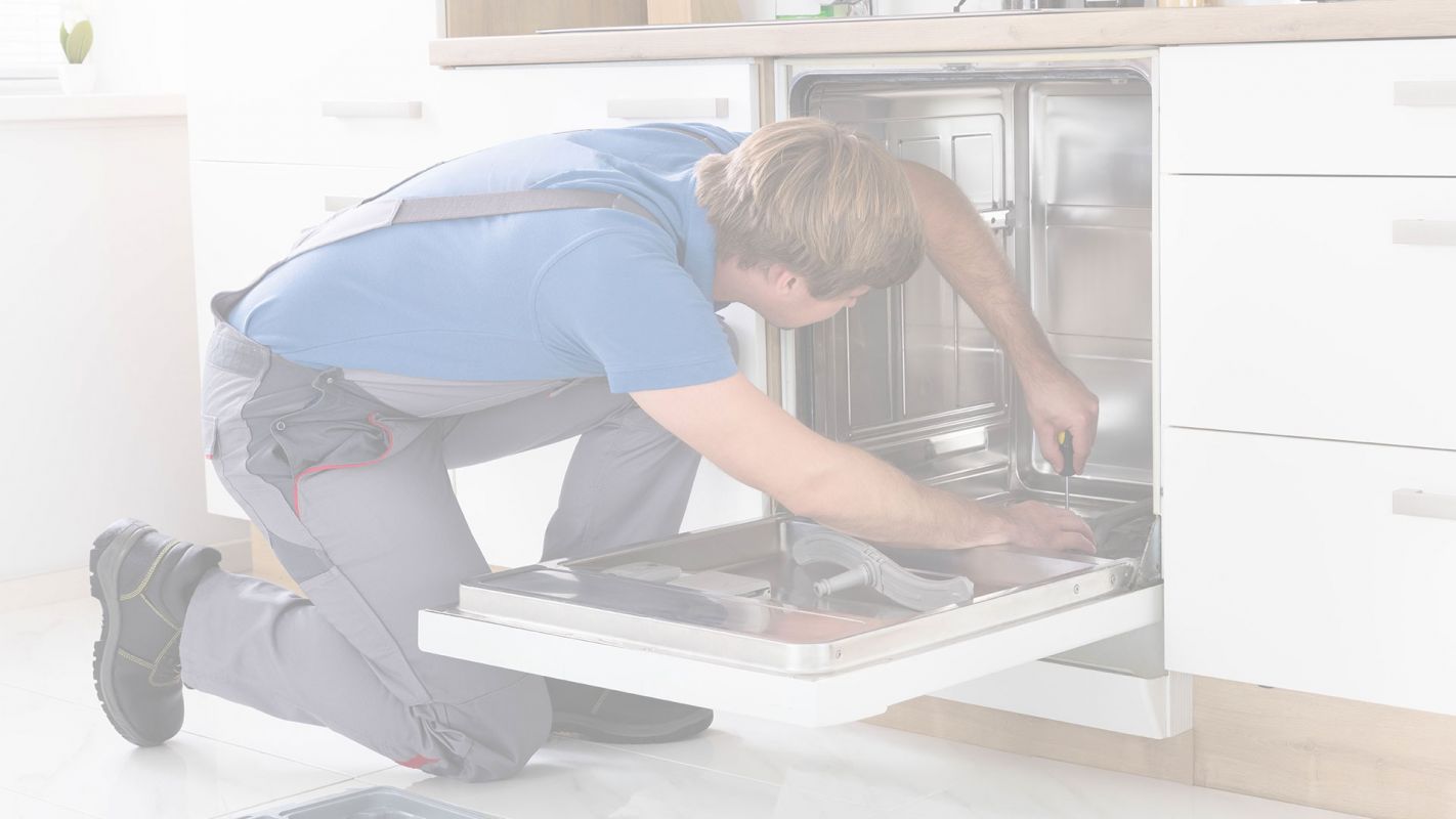 Get an affordable Dishwasher Repair Mansfield, TX