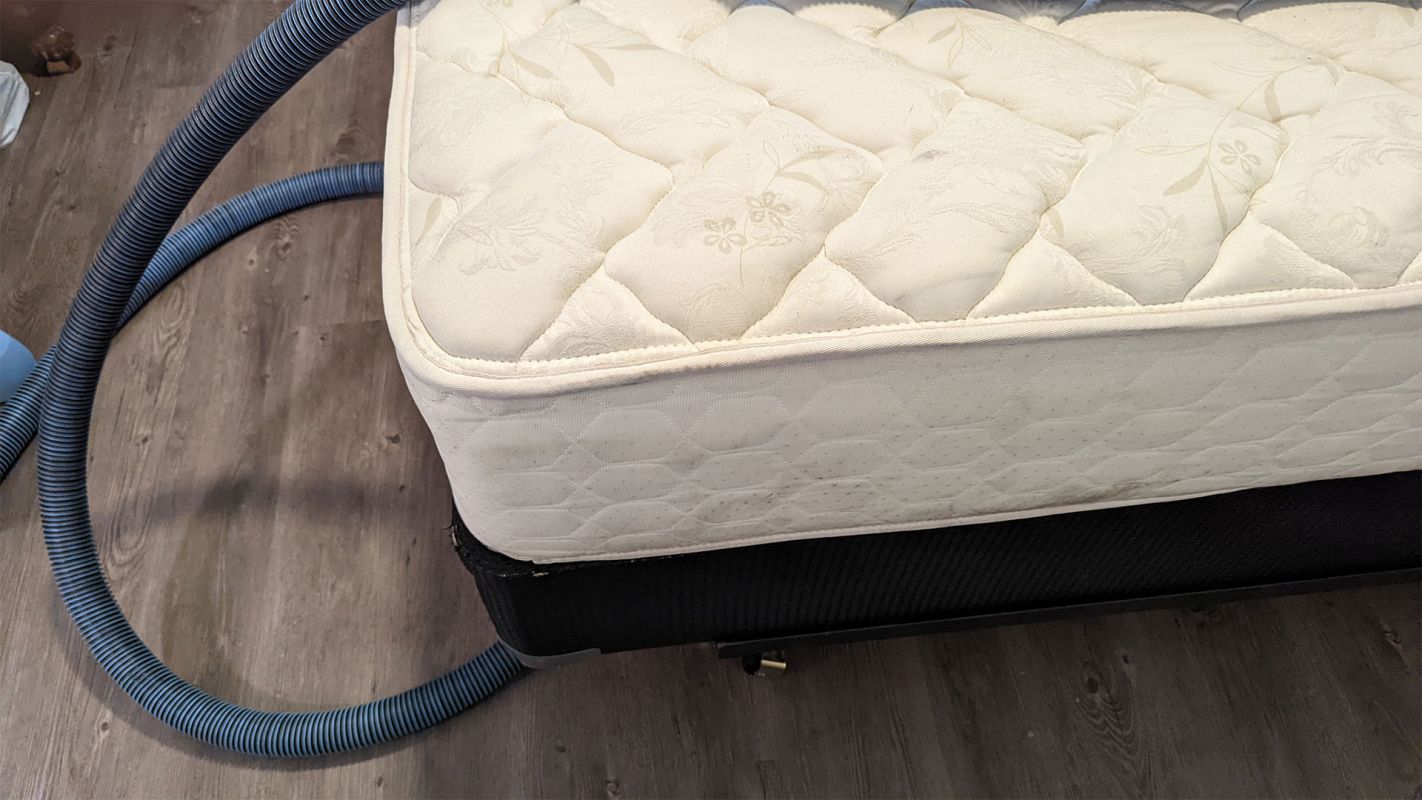 The Most Professional Mattress Cleaning Company in Town Spring Branch, TX