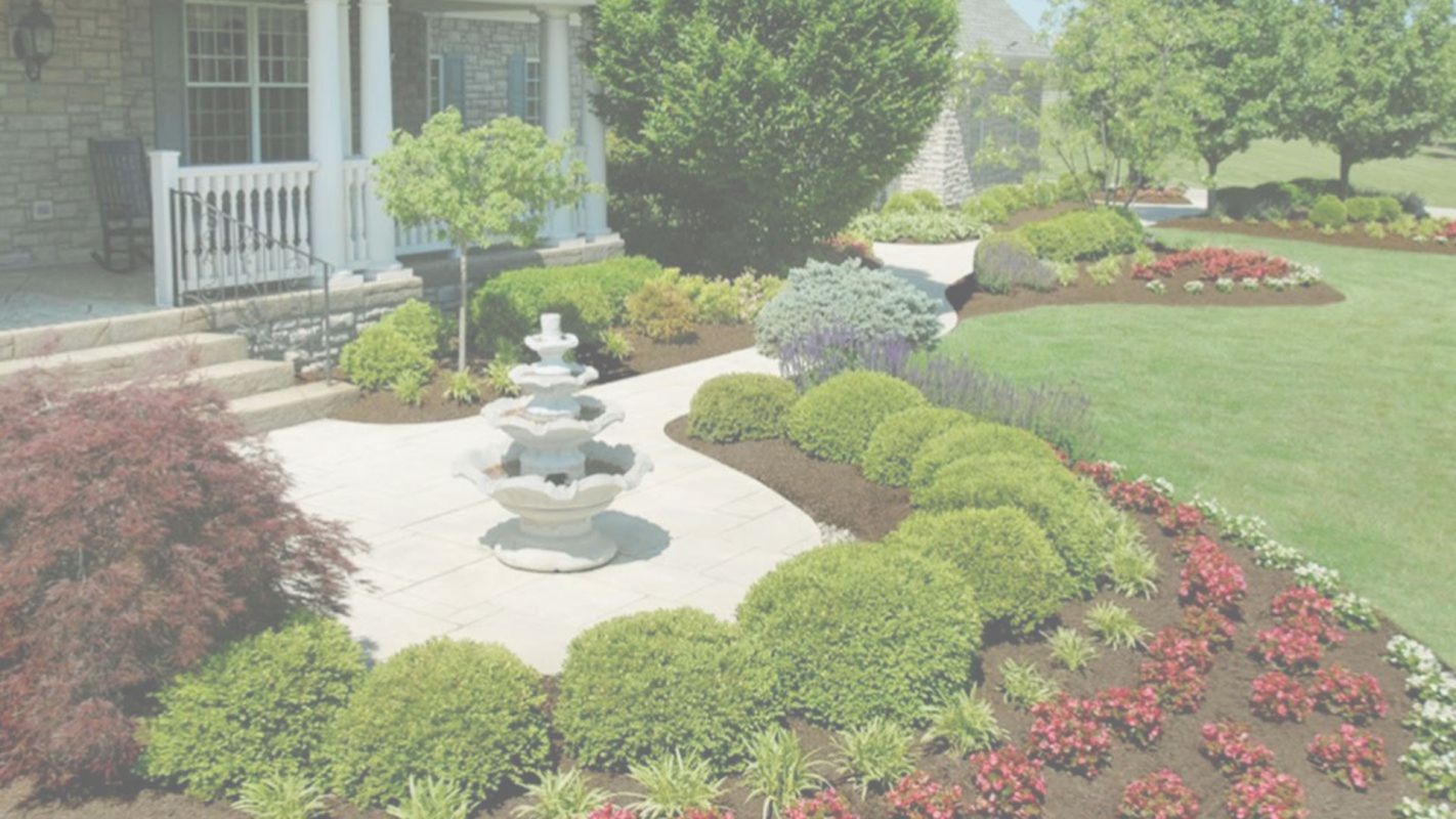 Best Lawn Care Services Fairfax, VA