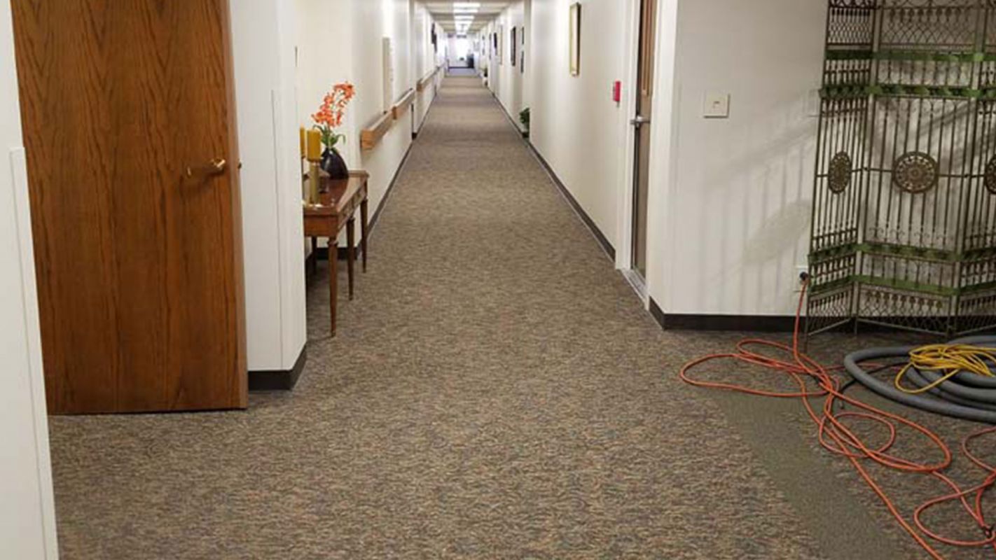 Make Your Place Shine with Carpet Cleaning Services San Antonio, TX