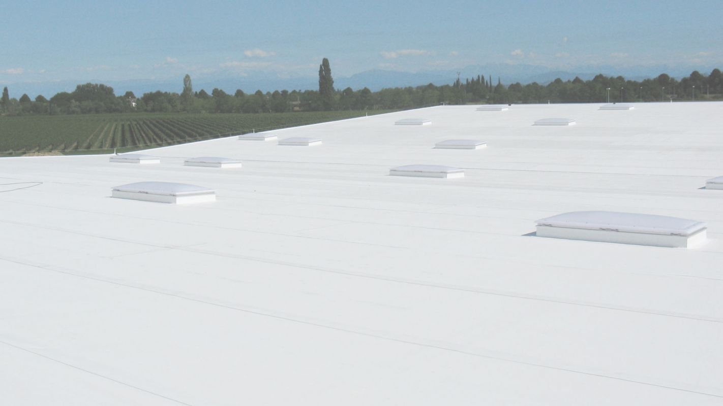 Affordable TPO Flat Roof Costs for You!