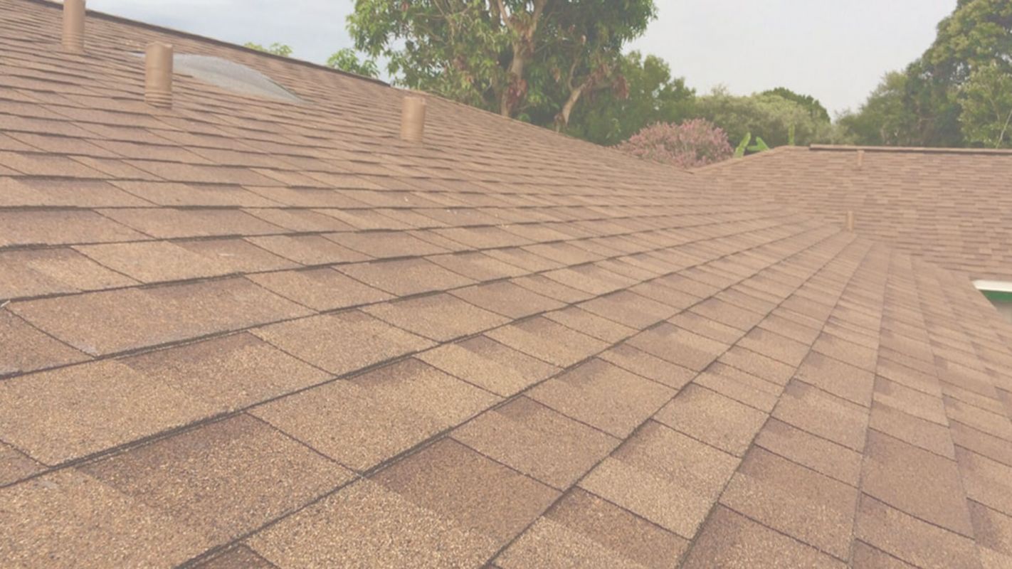 Get Reliable Shingle Roofing Services