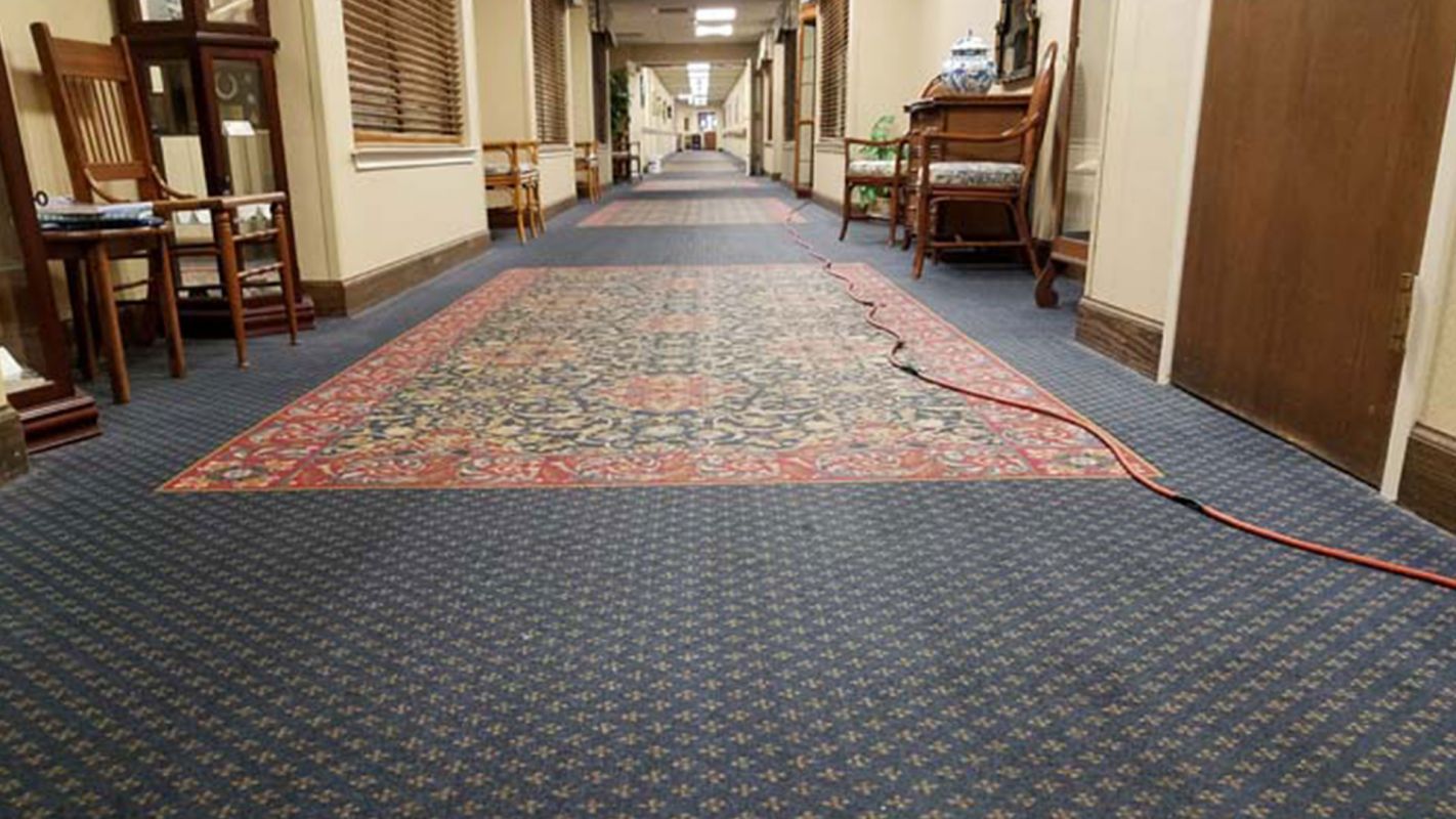 Improve the Look of Your Workplace with Commercial Carpet Cleaning Canyon Lake, TX
