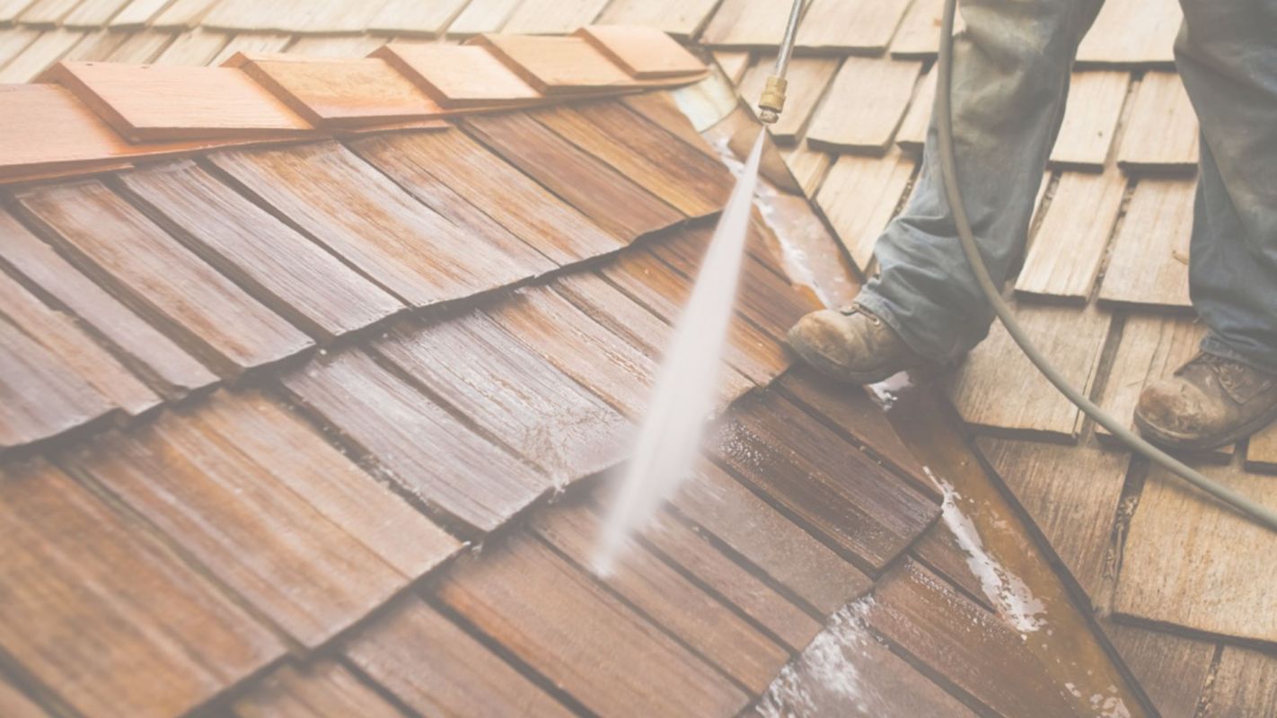 Exceptional Roof Cleaning Services in Winter Springs, FL