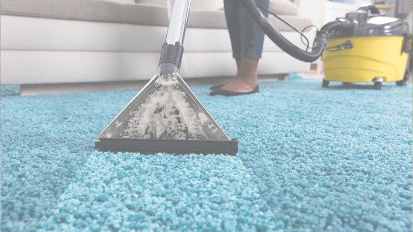 Best Carpet Cleaning Company You Can Find Detroit, MI