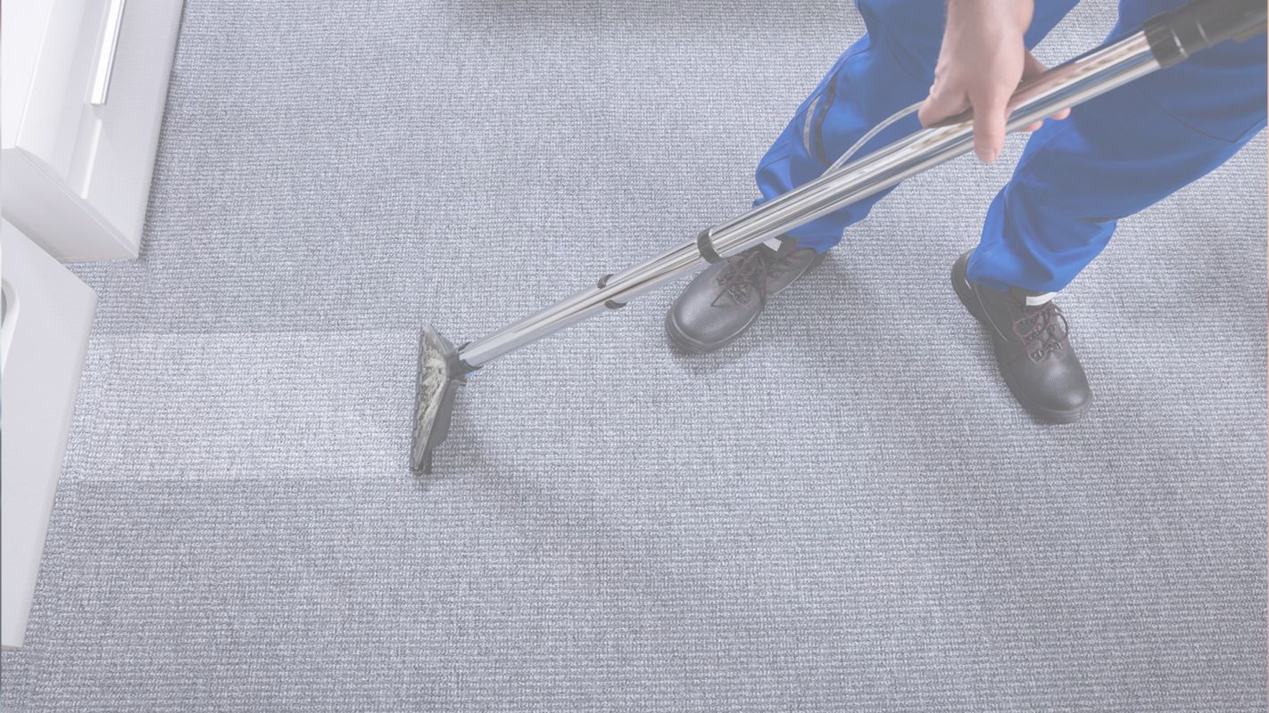 Affordable Carpet Cleaning Services Detroit, MI