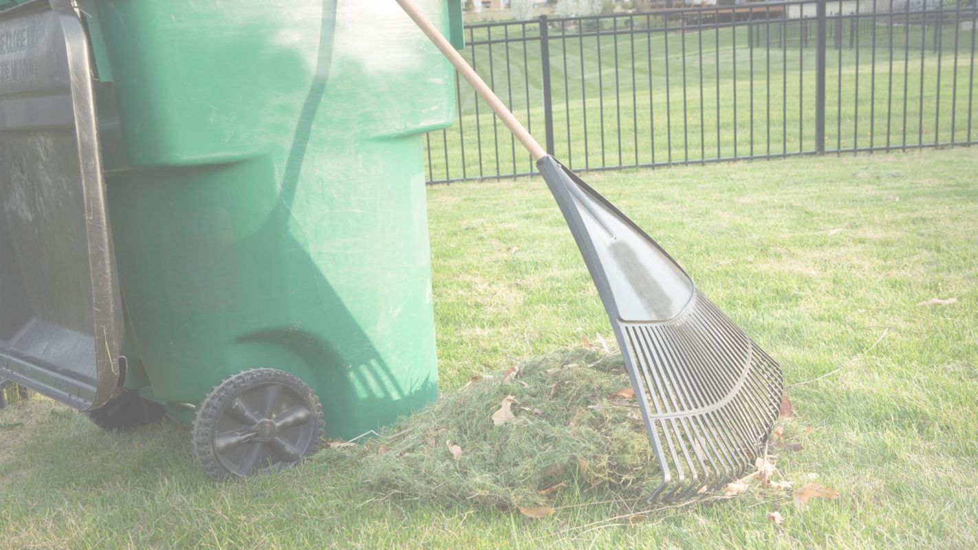 Yard Debris Removal Fort Lauderdale, FL