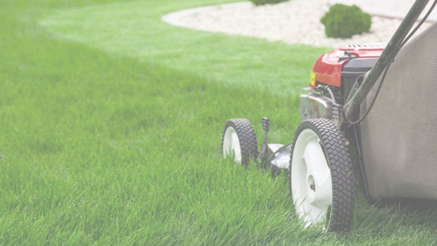 Lawn Services Coral Springs, FL