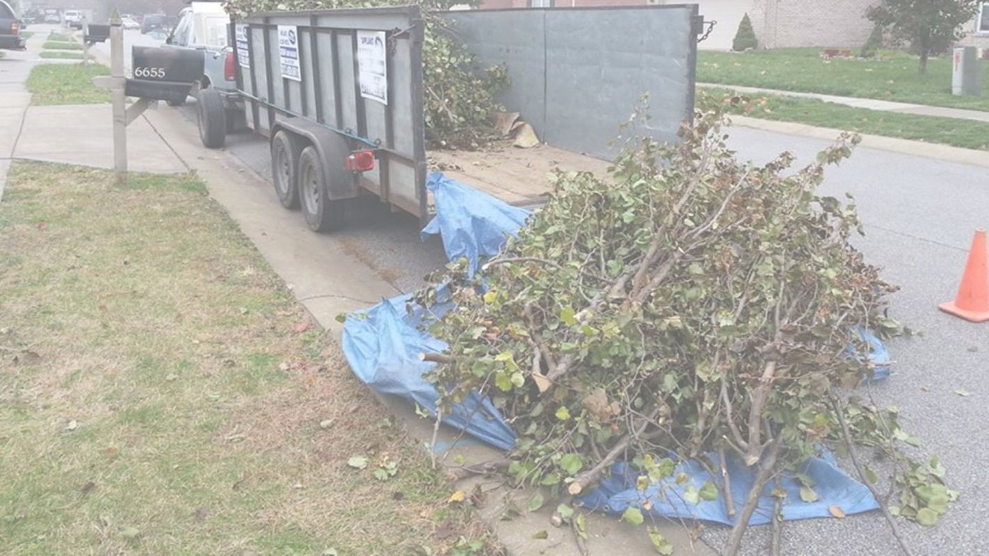 Yard Waste Removal Cooper City, FL