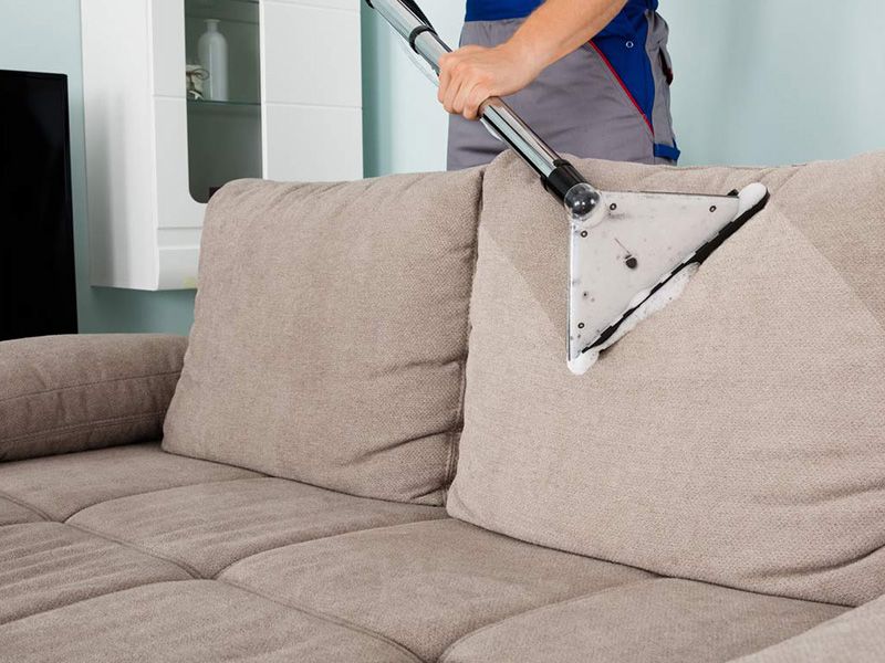 Reasons To Rely On Our Upholstery Cleaning Services