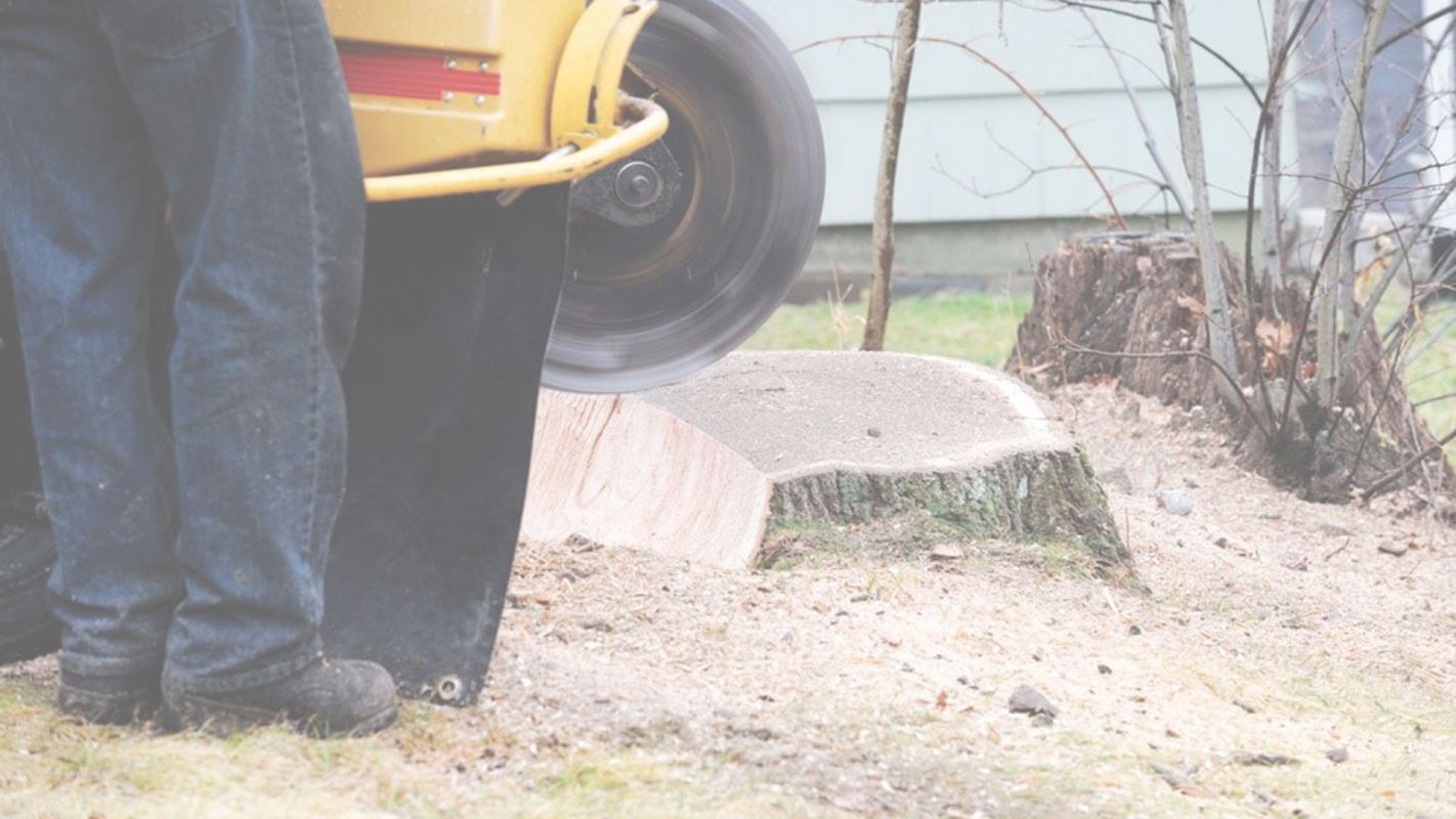 Stump Grinding Services Coral Springs, FL