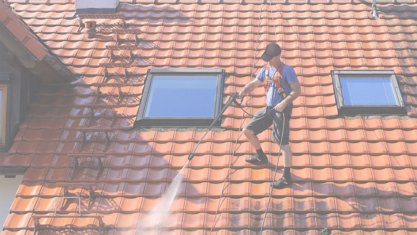 Searching for “roof pressure cleaning near me?” Miami Shores, FL