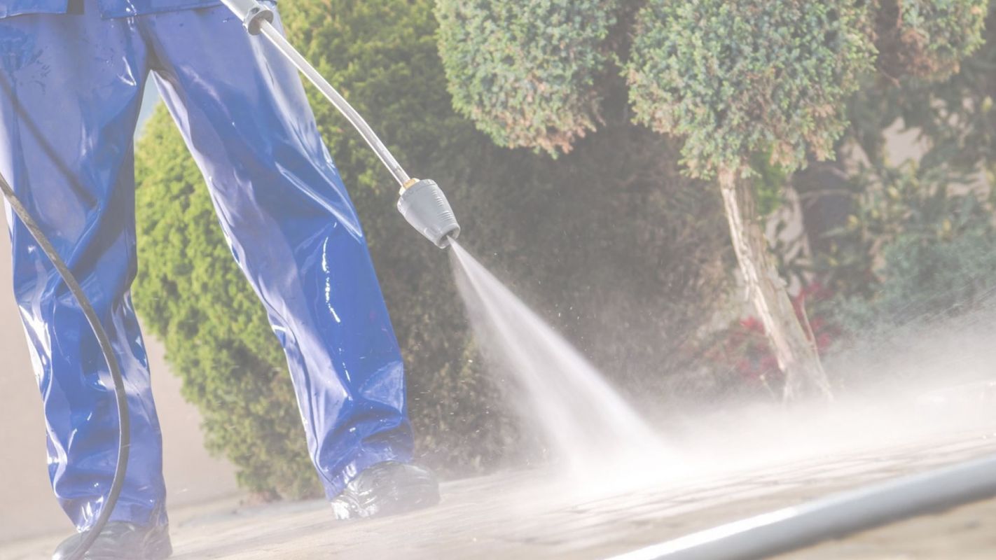 We Provide the Top Pressure Washing Services Coral Gables, FL