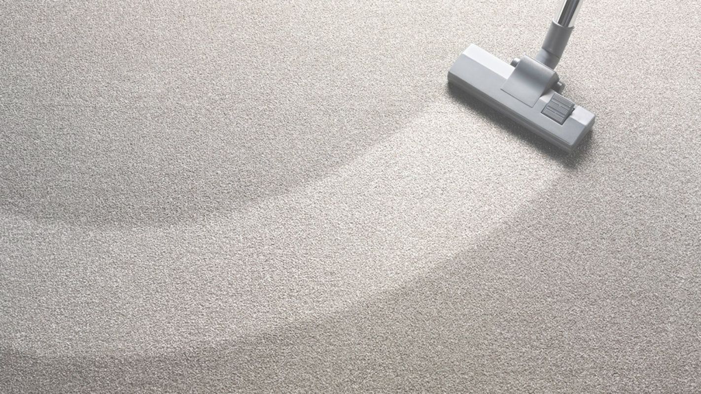 Reduce Your Carpet Cleaning Services Cost by Hiring us Ellicott City