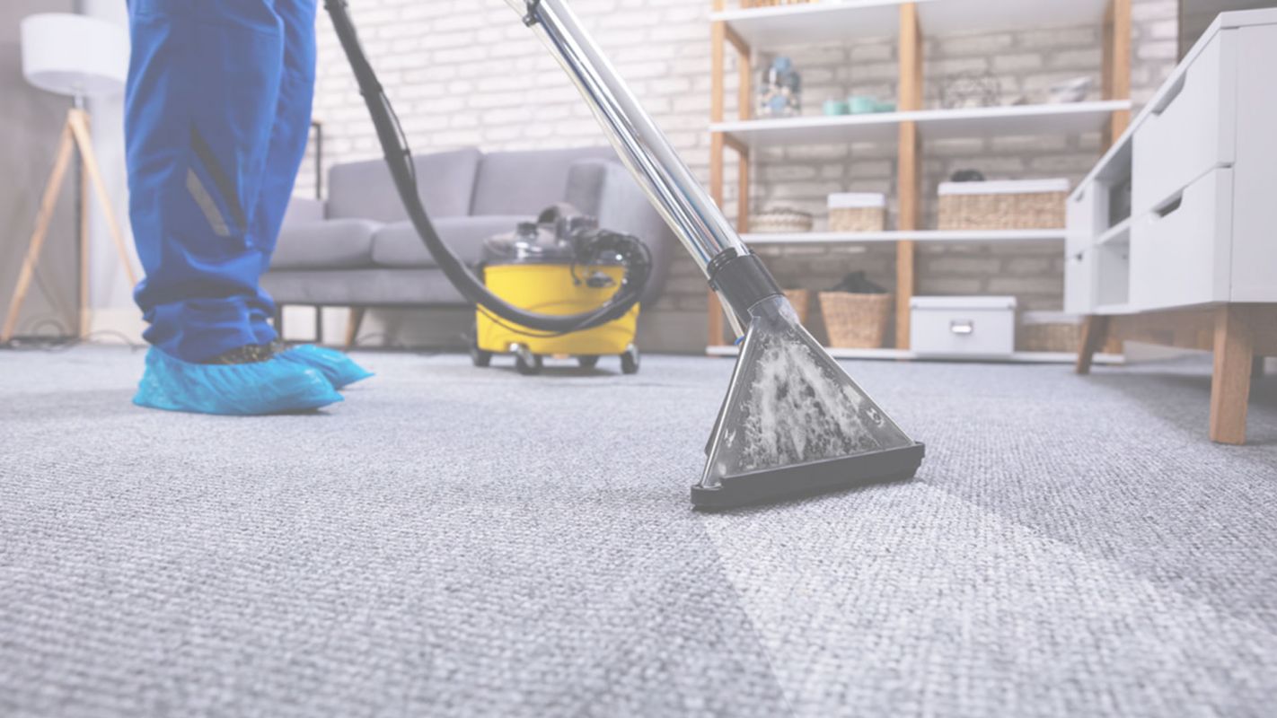 Pro Carpet Cleaning Service Provider