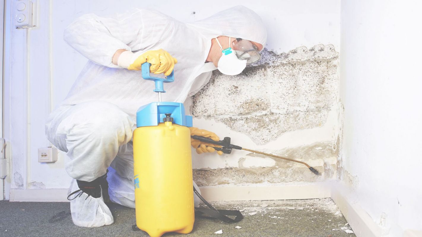 The Best Mold Damage Restoration in Town Newport, RI