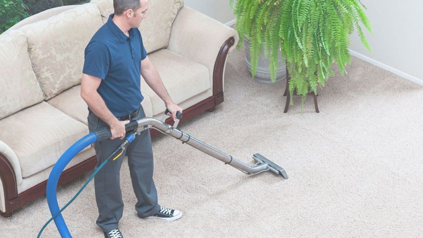 Carpet Cleaning Company to Fully Rely On