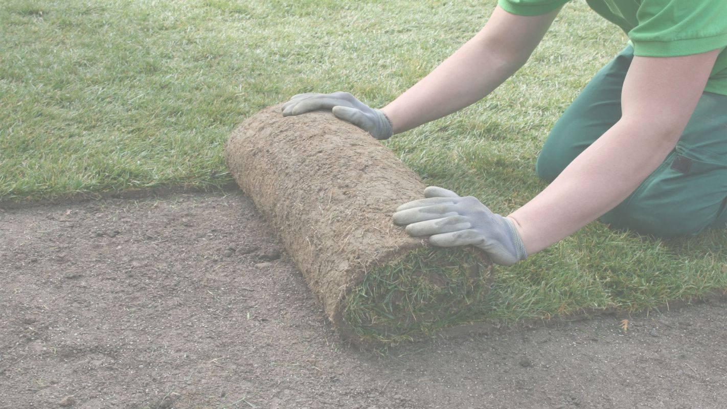 Landscape Construction Services Chandler, AZ