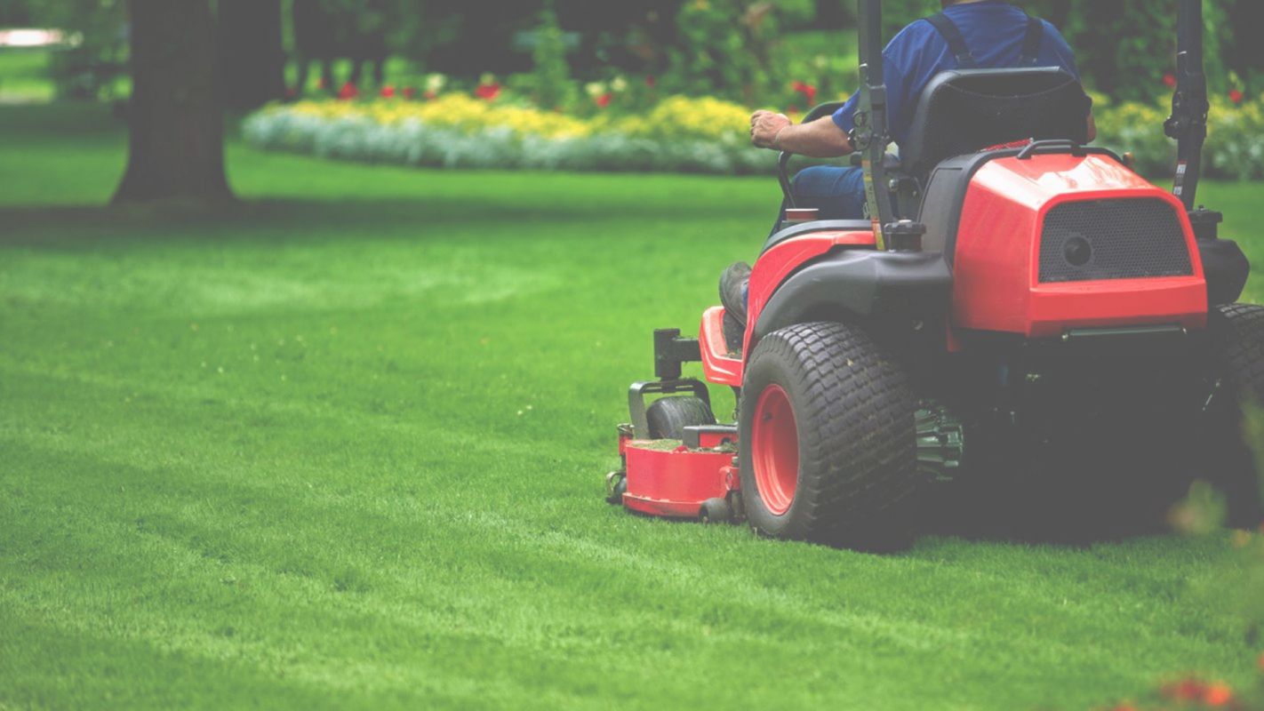 Lawn Maintenance Goodyear, AZ