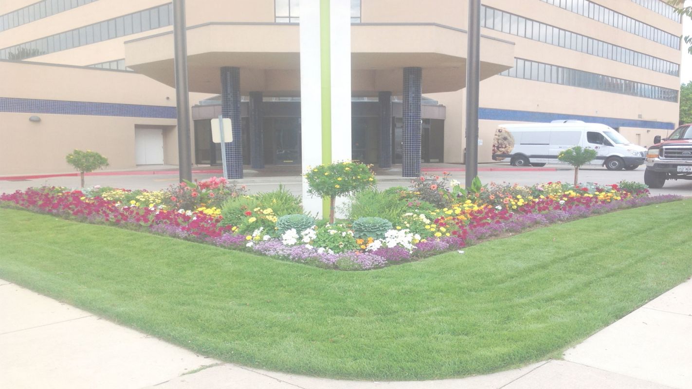 Commercial Landscaping Companies Near Me Chandler, AZ