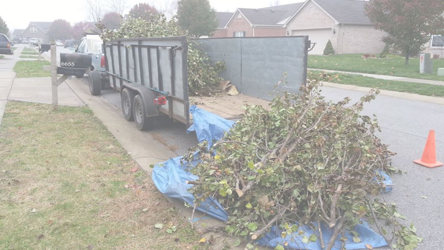 Get the Best Yard Waste Removal in Medford, MA