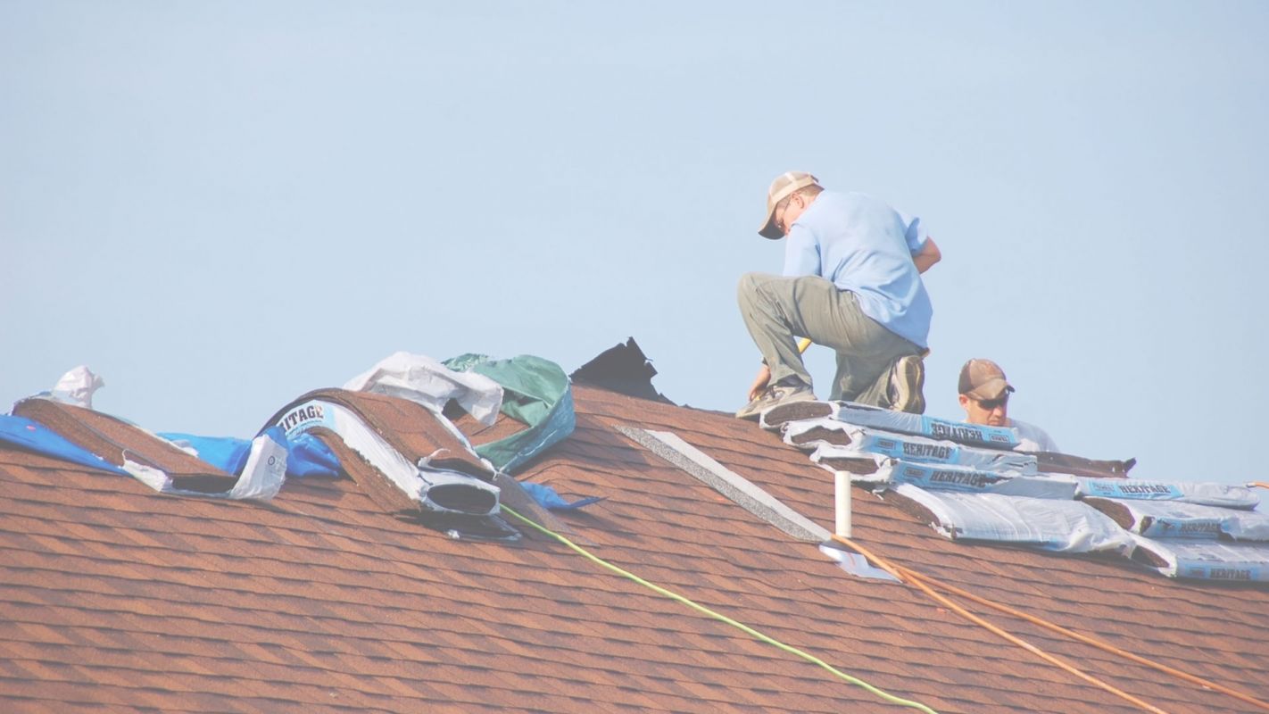 Diligen Shingles Repair Contractors in Town The Colony, TX