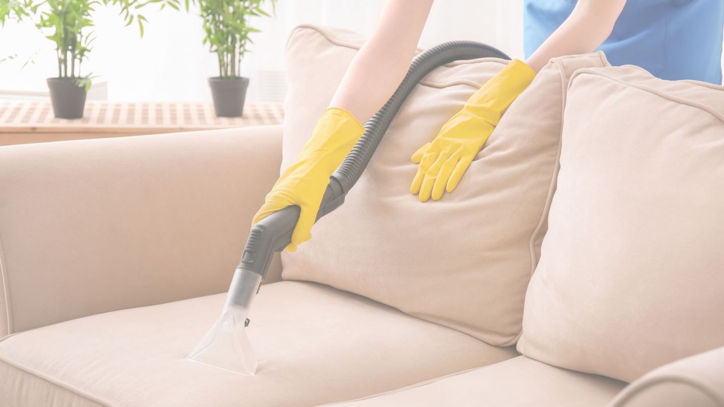 The Furniture Cleaning Services That Revamp Woodwork West Chester, PA