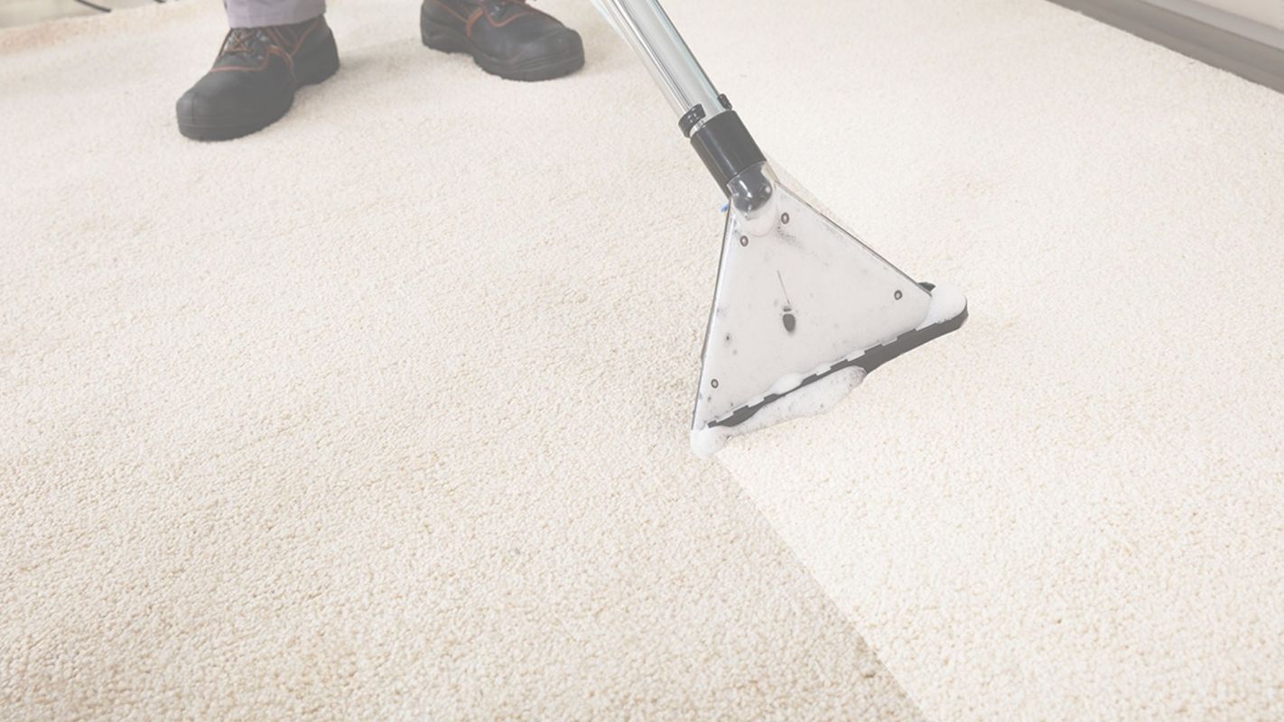 Carpet Cleaning That Removes Every Grain of Dirt West Chester, PA