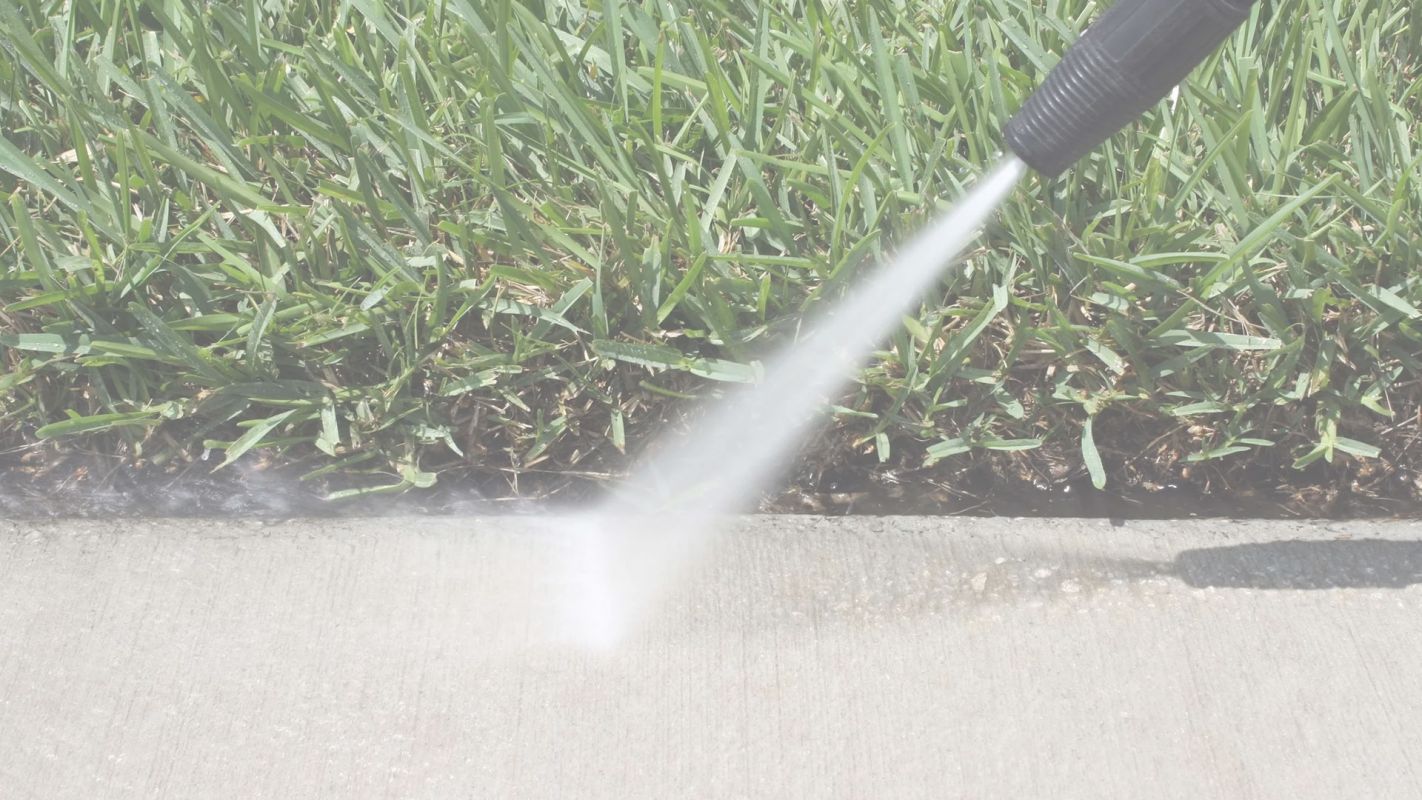 Professional Pressure Washing Service at Your Doorstep