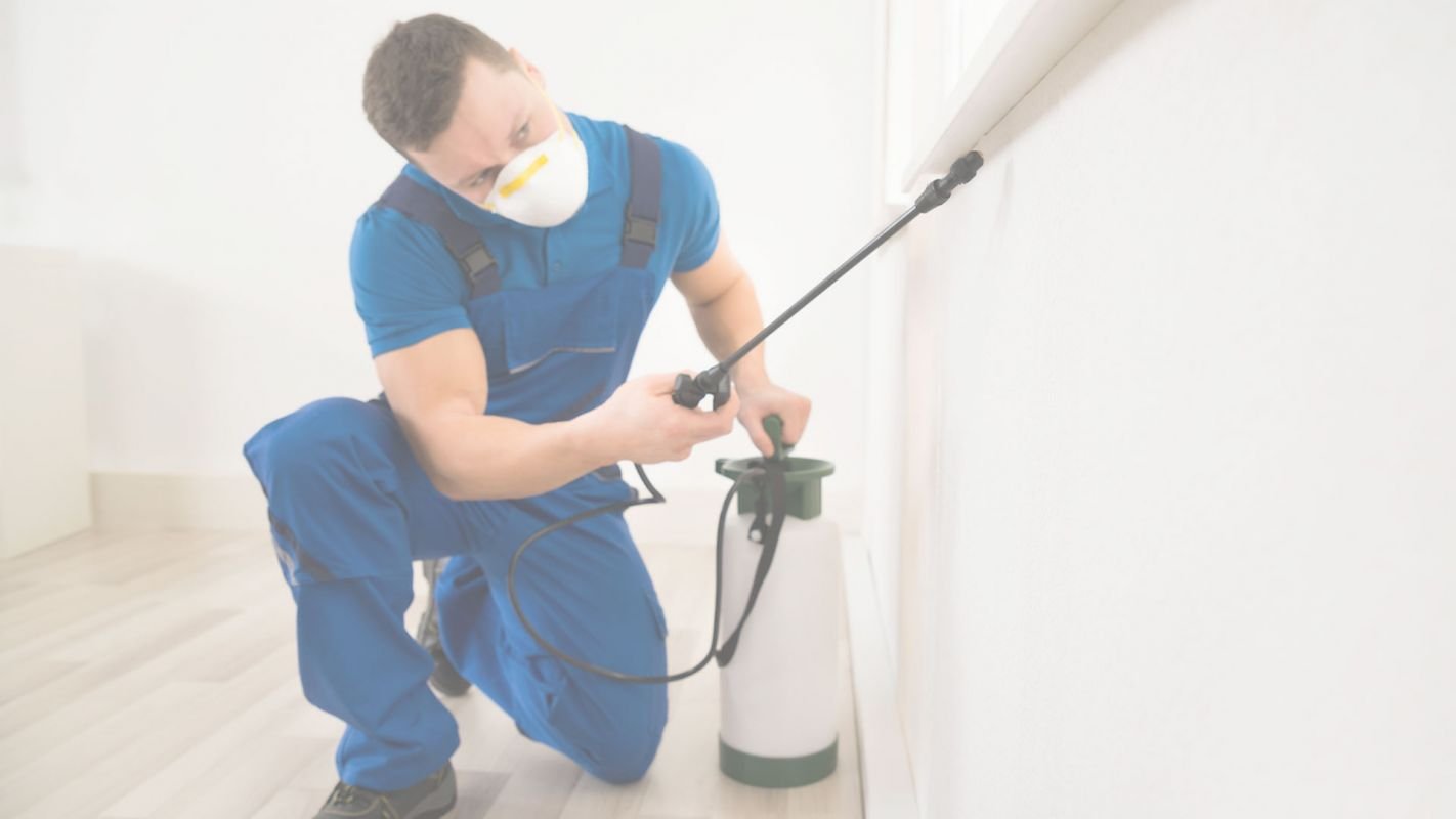 Pest Extermination Service at an Affordable Price Gilroy, CA