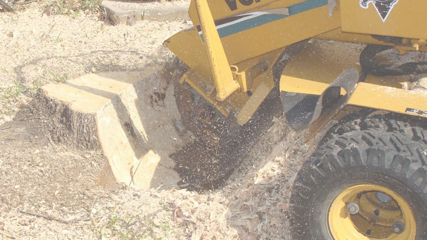 Hire Stump Removal Contractors in Fairfax, VA