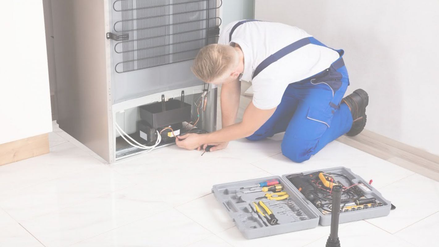 Hire The Most Professional Residential Refrigerator Repair Services Del Mar, CA