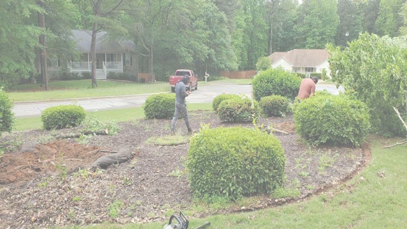 Lawn Edging Newnan, GA