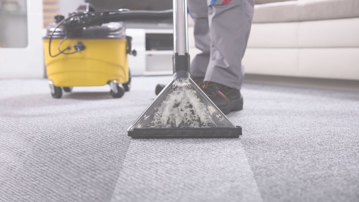 Feel the Freshness with Professional Carpet Cleaning North Tonawanda, NY