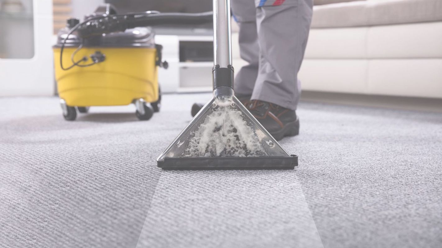 Feel the Freshness with Professional Carpet Cleaning Niagara Falls, NY