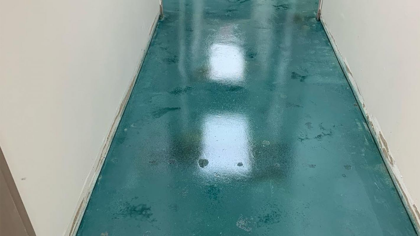 Epoxy Floor Installation St. Augustine FL