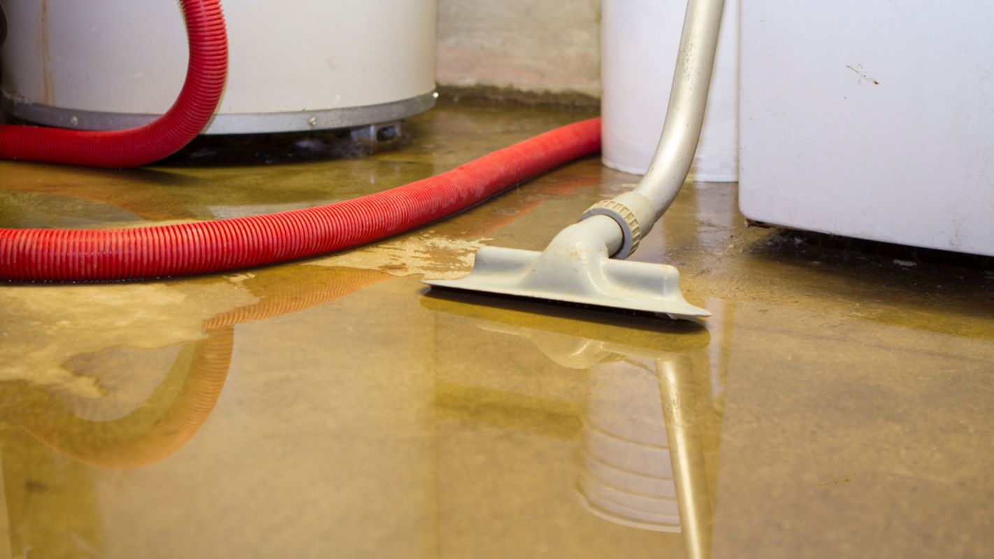 Sewage Damage Restoration Glendale AZ