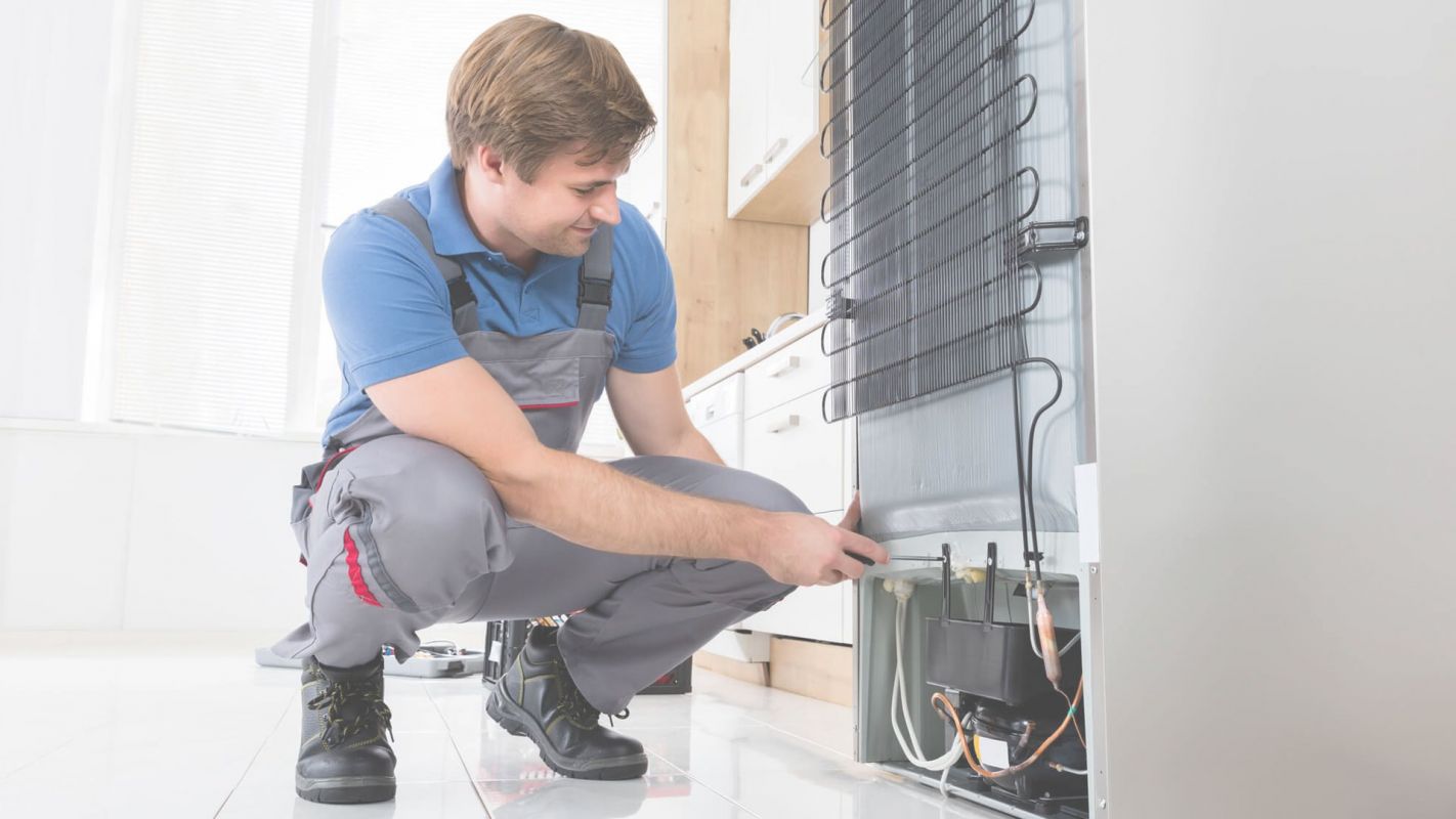 Get One of A Kind Refrigerator Repair Services From Us Richardson, TX