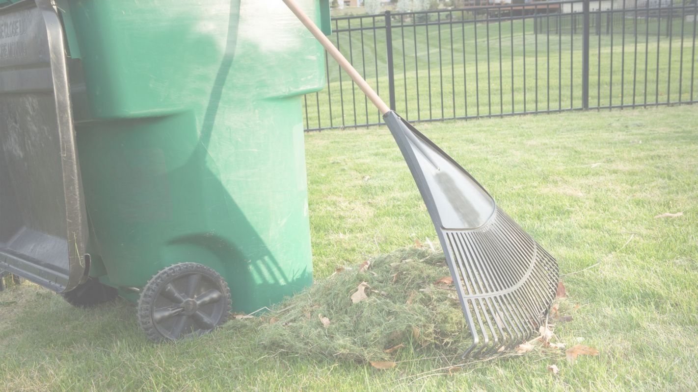 Get a Professional Yard Debris Removal New City, NY